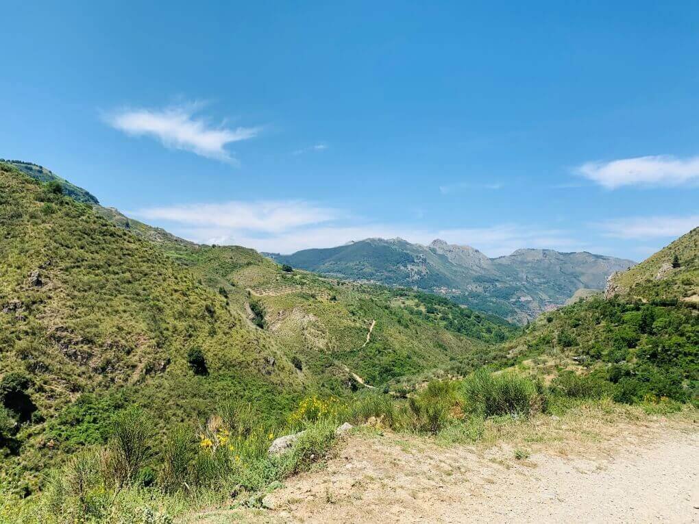 NEBRODI PARK, A PARK WITH HILLS, AND THICK FOREST