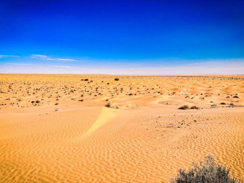 The Sahara Desert